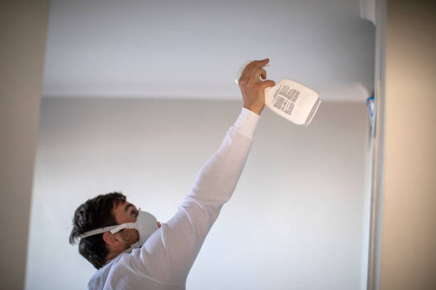 Best Kitchen Mold Remediation in Alameda, CA